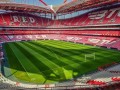المغرب الرياضي  - جدول مباريات اليوم الخميس 15 أكتوبر 2026 والقنوات الناقلة