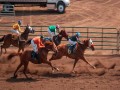 المغرب الرياضي  - إنتاج مربط دبي للخيول العربية ينتزع الذهب في بطولة بيرغامو الدولية