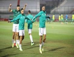 المغرب الرياضي  - منتخب الجزائر يواجه السويد في ختام وديات 